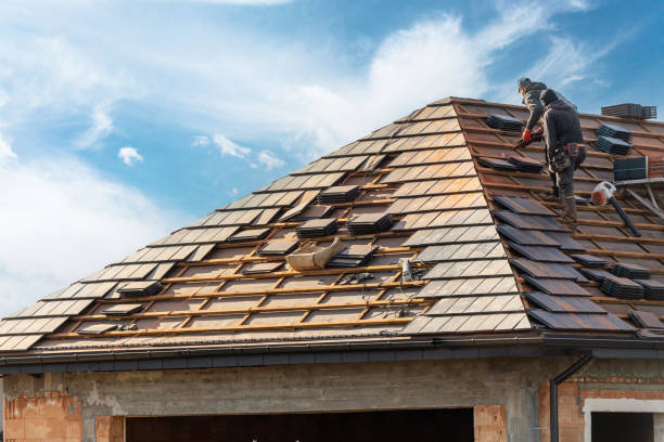 Best Asphalt Shingle Roofing  in Walnut, IL