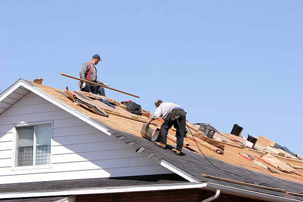 Best Roof Ventilation Installation  in Walnut, IL